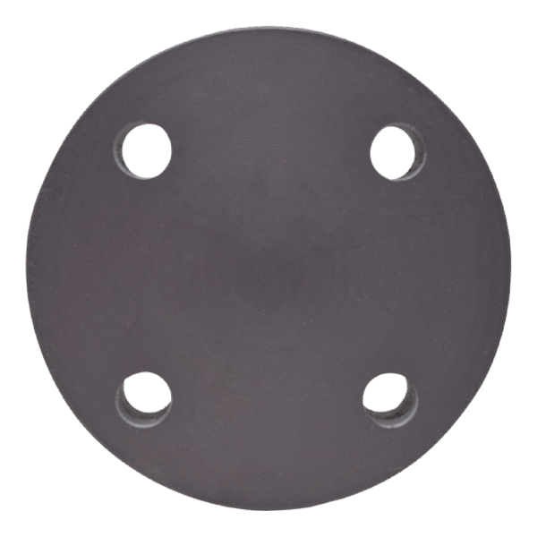 BLIND FLANGE - Image 4